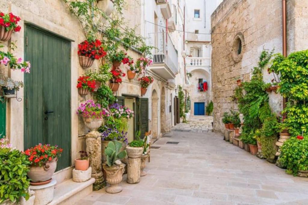 Il Mare In Citta. Appartamento Vista Mare Monopoli Exteriér fotografie